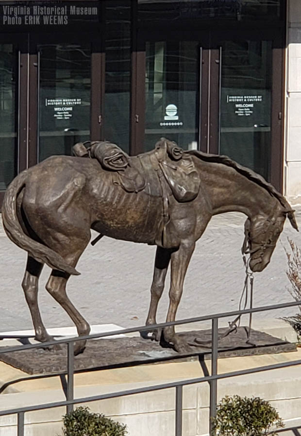 Bony horse at the Virginia Historical Museum