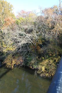 boulevard-bridge-ric_131836